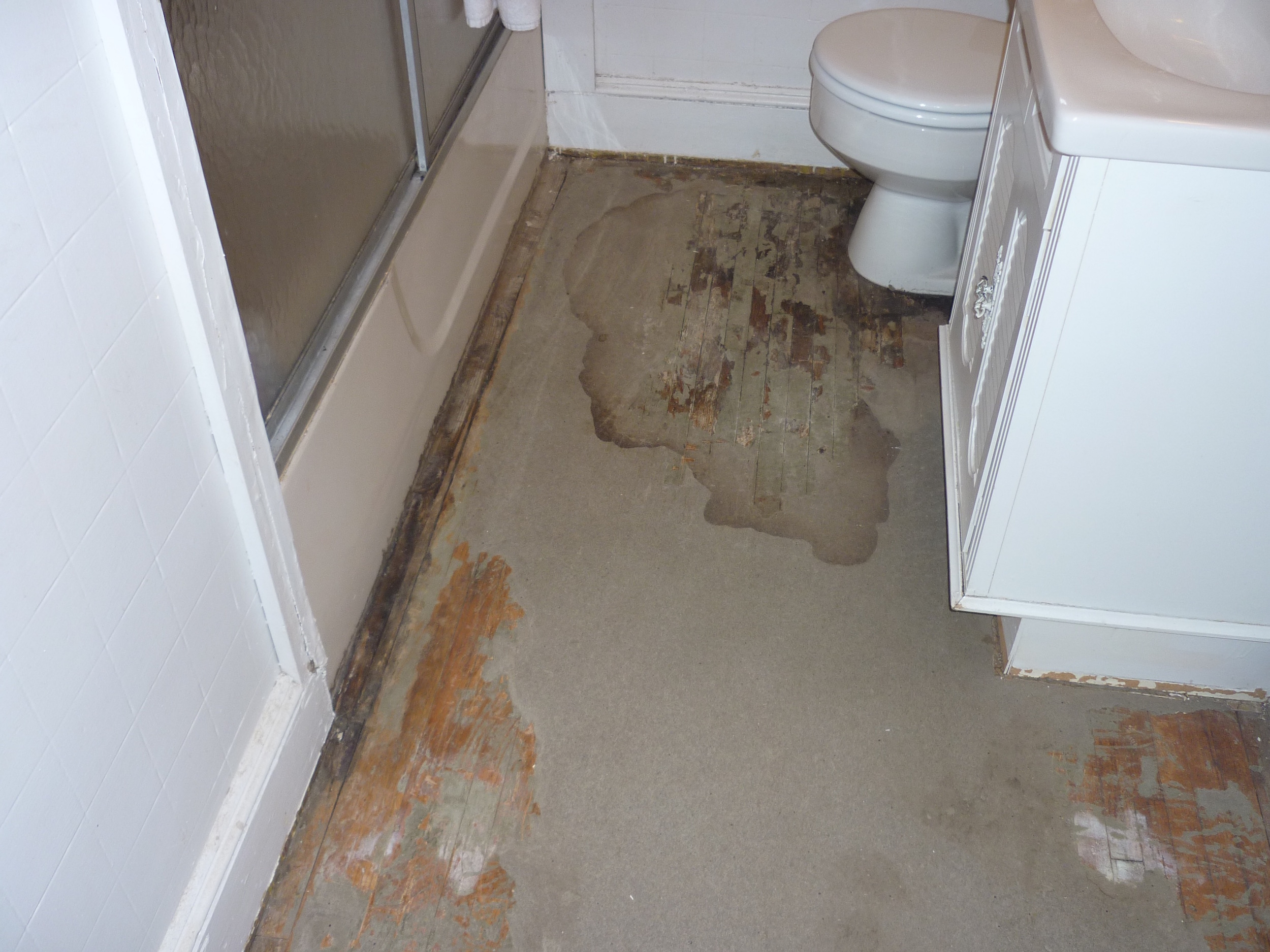 Water Damage Repair & Mold Removal for Lisa H., in Charlotte, NC