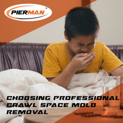 PIERMAN-Foundation-Repair-Choosing-Professional-Crawl-Space-Mold-Removal