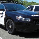 vehicle graphics, police car graphics, cop car graphics