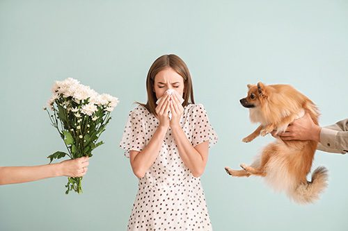 HVAC Tips for Allergy Sufferers