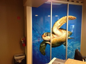 Sea Turtle Door Graphic