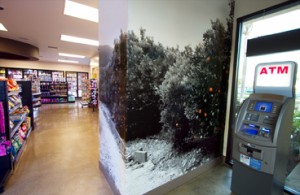 Digitally printed wallpaper Orange County CA