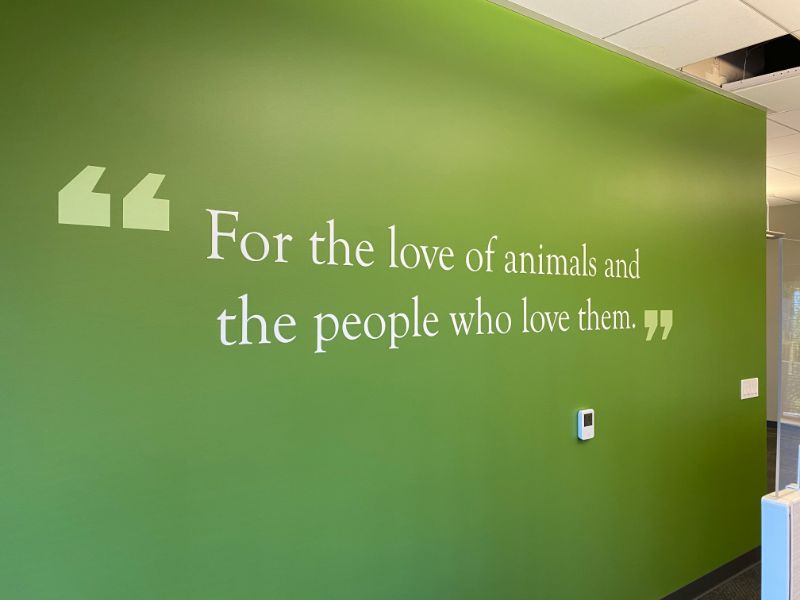 Word Wall Graphics and Wall Quotes for Offices in Anaheim CA