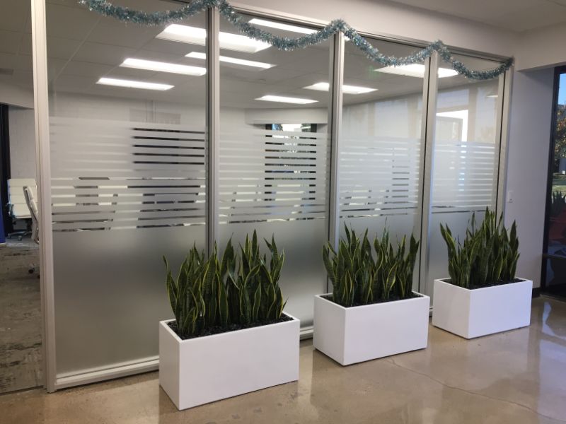 window privacy film for offices in Anaheim CA