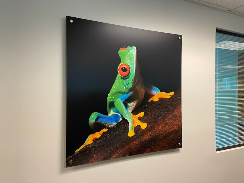 Office Wall Art Decorates at Corporate Headquarters for NVA in Los Angeles