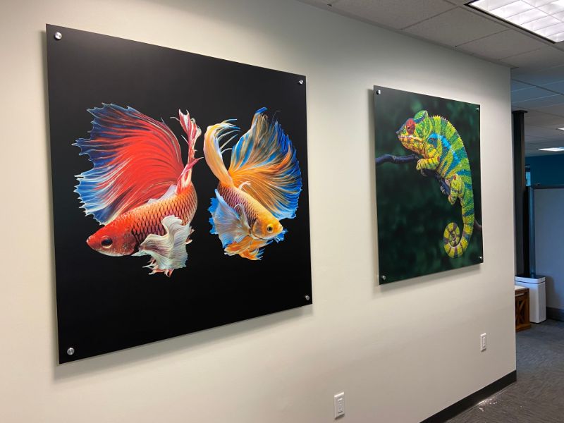 Office Wall Art Decorates at Corporate Headquarters for NVA in Los Angeles