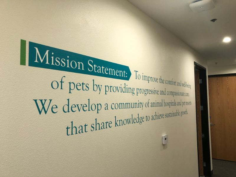 Office Wall Art and Wall Lettering Decorate Los Angeles Campus for NVA!