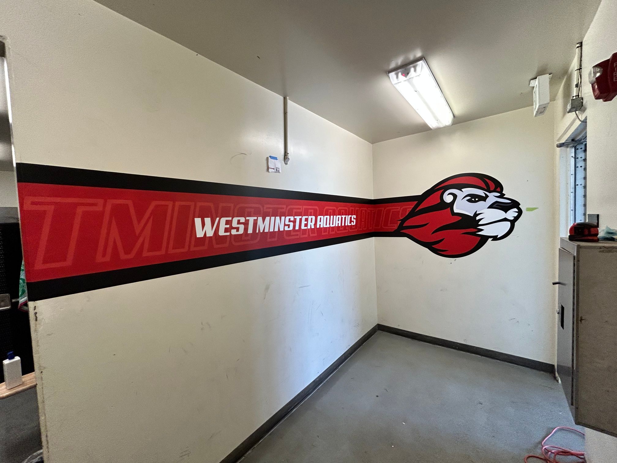 wall graphics and wraps in westminster, ca