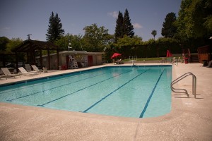 Competition pool -  Walnut Heights 