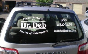 Car lettering by Spot-On Signs & Graphics DrDeb