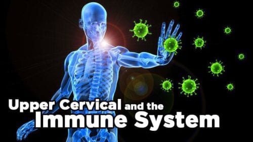 Upper Cervical and the Immune System