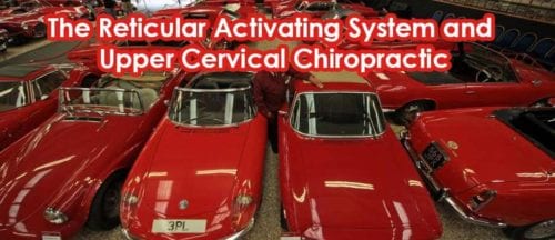 The Reticular Activating System and Upper Cervical Chiropractic