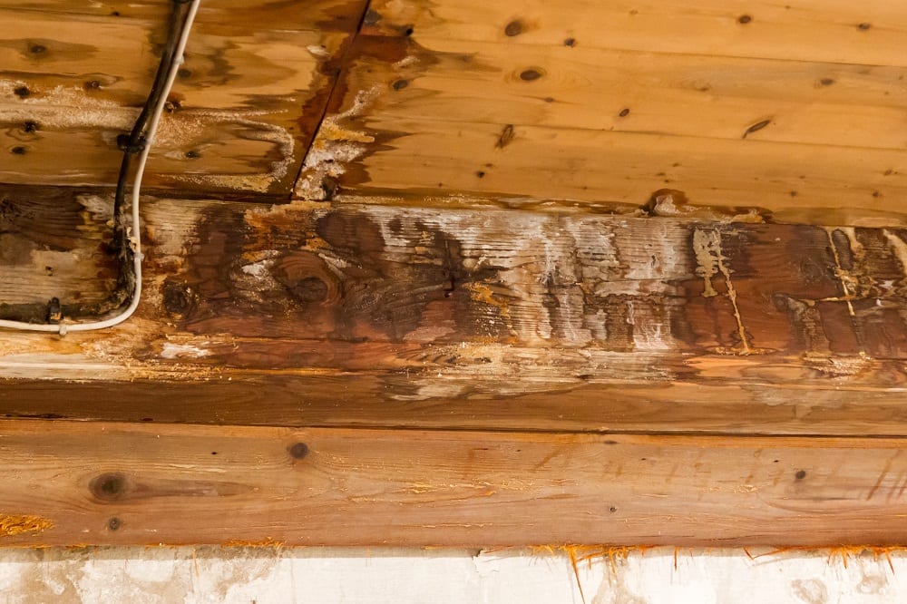 When it comes to water damage discovering the source is key