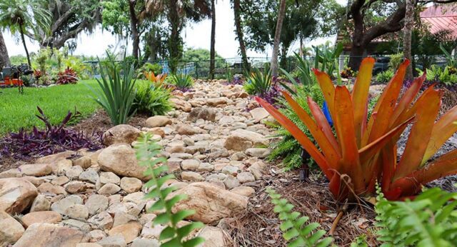 Creating a Tropical Oasis on Your Waterfront property