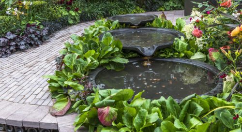 What Type of Water Feature Can We Create For You?
