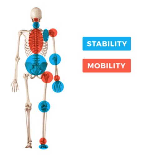 Joint Mobility and Stability Equals