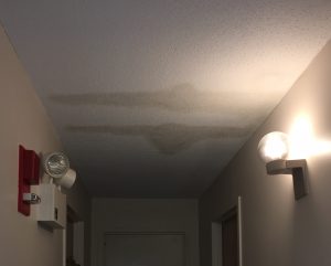 How Much Does It Cost To Repair Water Damage