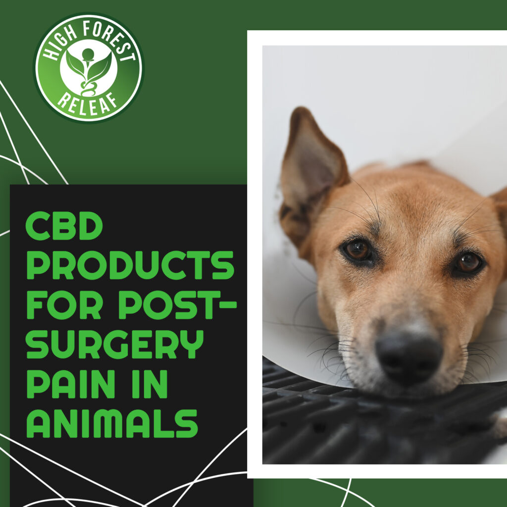 High-Forest-Releaf-CBD-Products-For-Post-Surgery-Pain-In-Animals