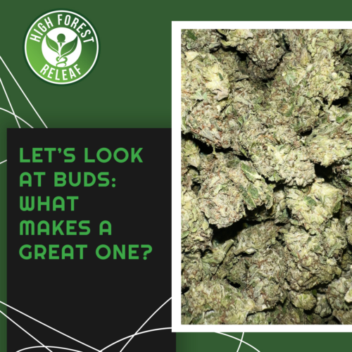 Lets-Look-At-Buds-What-Makes-A-Great-One
