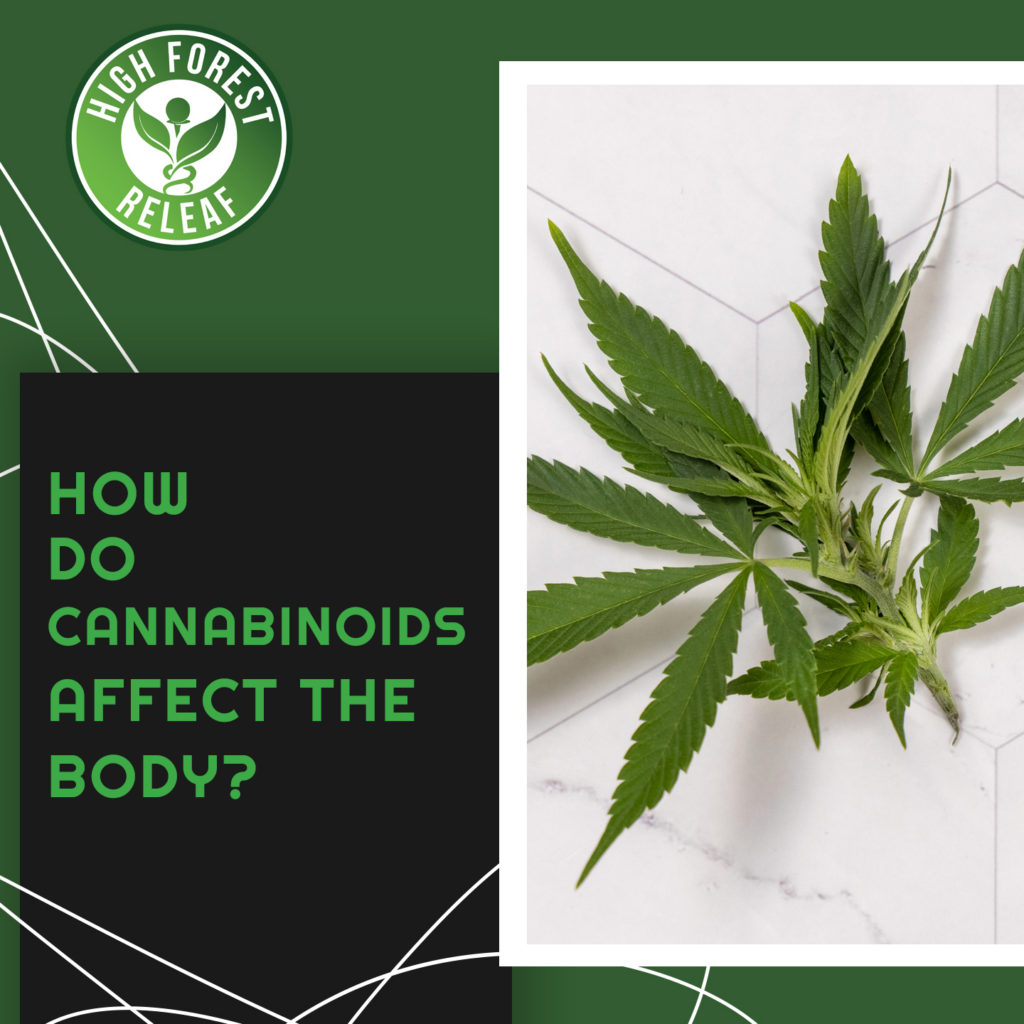 High-Forest-ReLeaf-CBD-how-do-cannabinoids-affect-the-body
