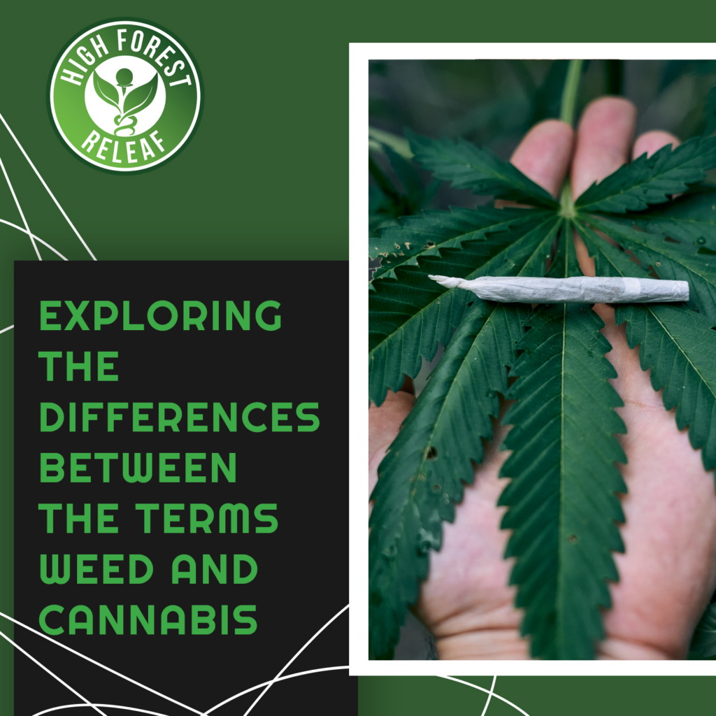 High-Forest-ReLeaf-CBD-exploring-the-differences-between-the-terms-weed-and-cannabis