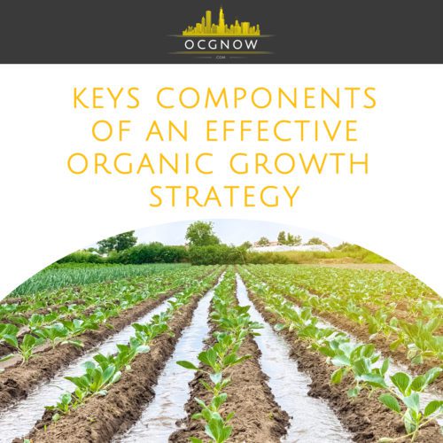 Key-Components-Of-An-Effective-Organic-Growth-Strategy