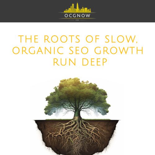 Online-Capital-Group-The-Roots-Of-Slow-Organic-SEO-Growth-Run-Deep