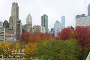 fall in downtown chicago