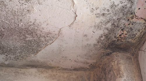Major Problems Caused by a Damp Crawl Space