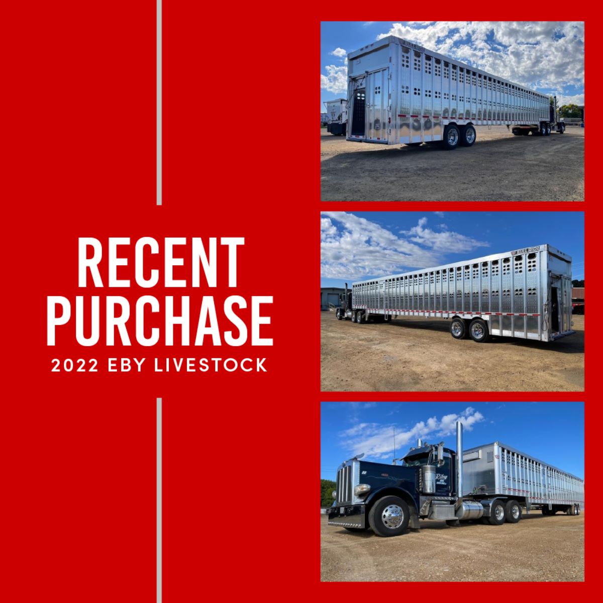 livestock semi trailer for sale