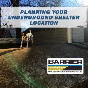 Dog on an underground shelter location