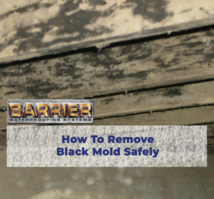 Remove_Black_Mold_Safe_Floor_Joist_Crawl_Space