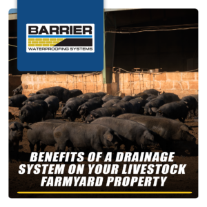 Benefits-Of-A-Drainage-System-On-Your-Livestock-Farmyard-Property