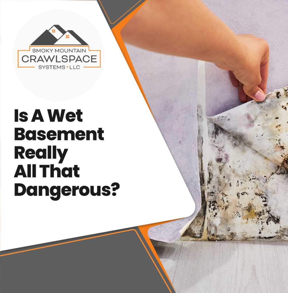 Smoky-Mountain-Crawlspace-Systems-is-a-wet-basement-really-all-that-dangerous
