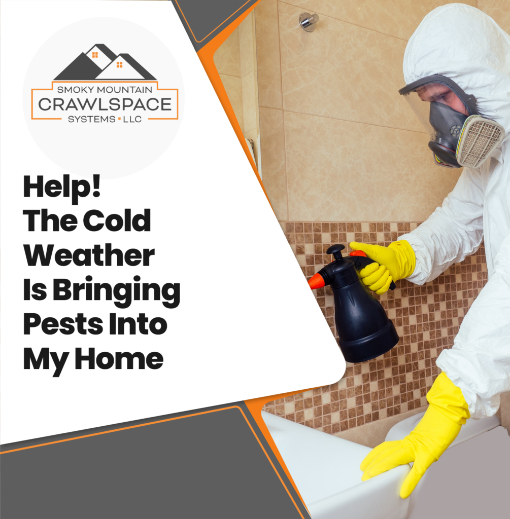 Smoky-Mountain-Crawlspace-Systems-help-the-cold-weather-is-bringing-pests-into-my-home-