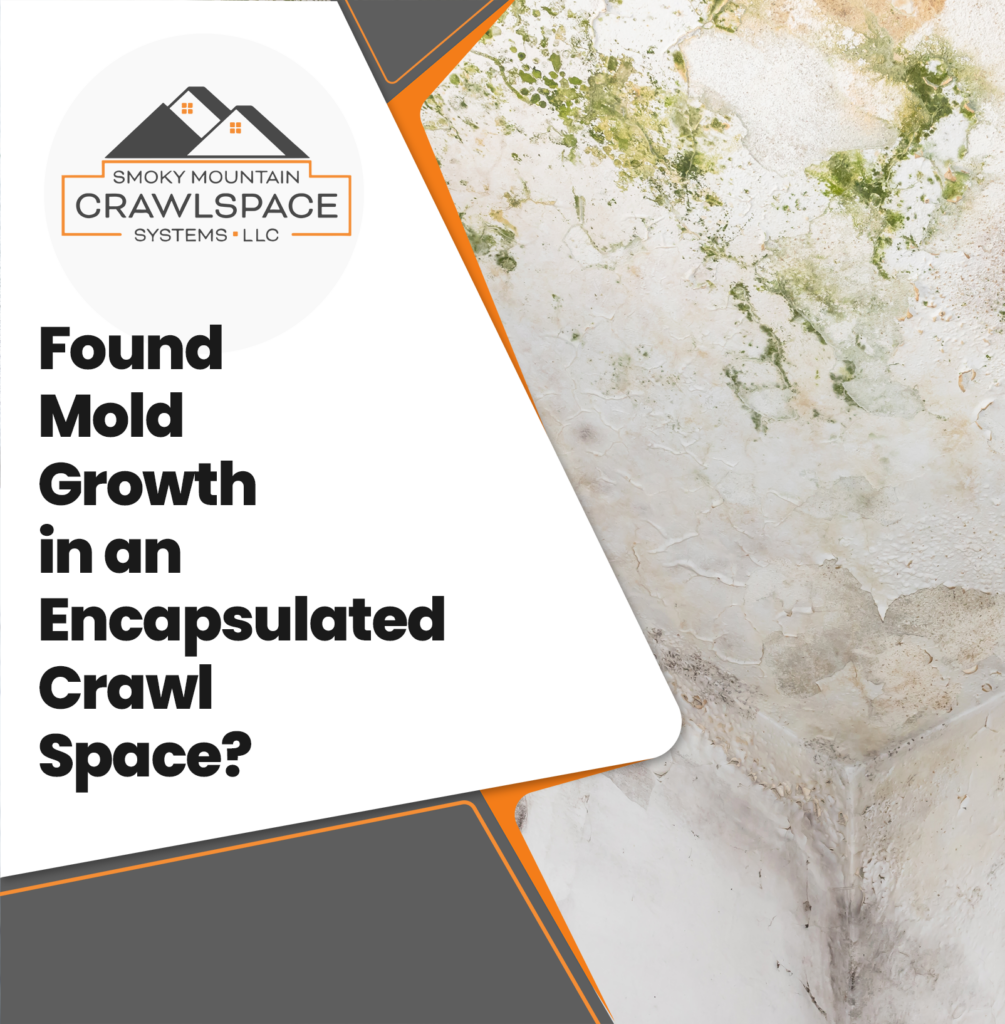 Smoky-Mountain-Crawlspace-Systems-found-mold-growth-in-an-encapsulated-crawl-space