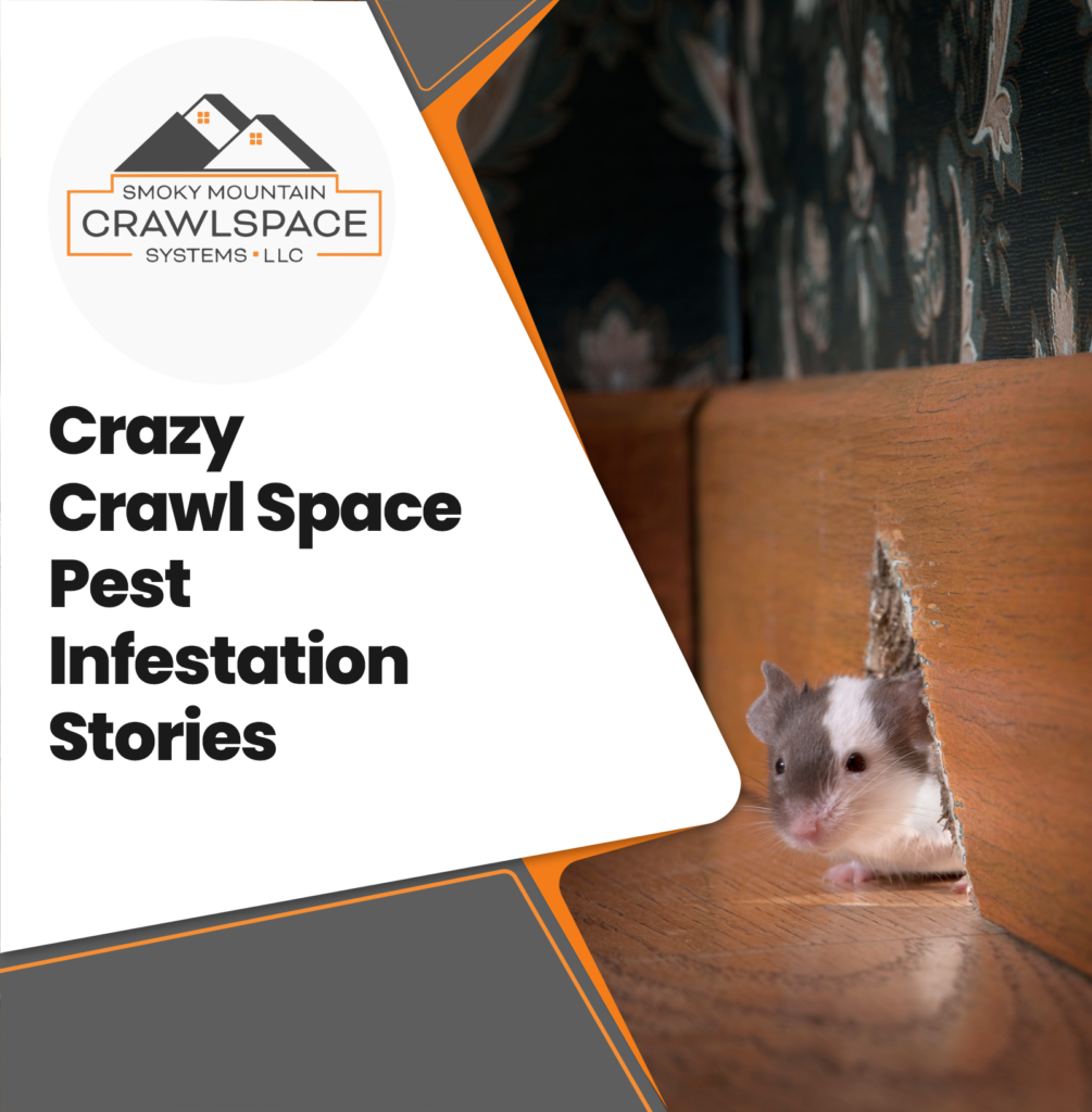 Smoky-Mountain-Crawlspace-Systems-crazy-crawl-space-pest-infestation-stories