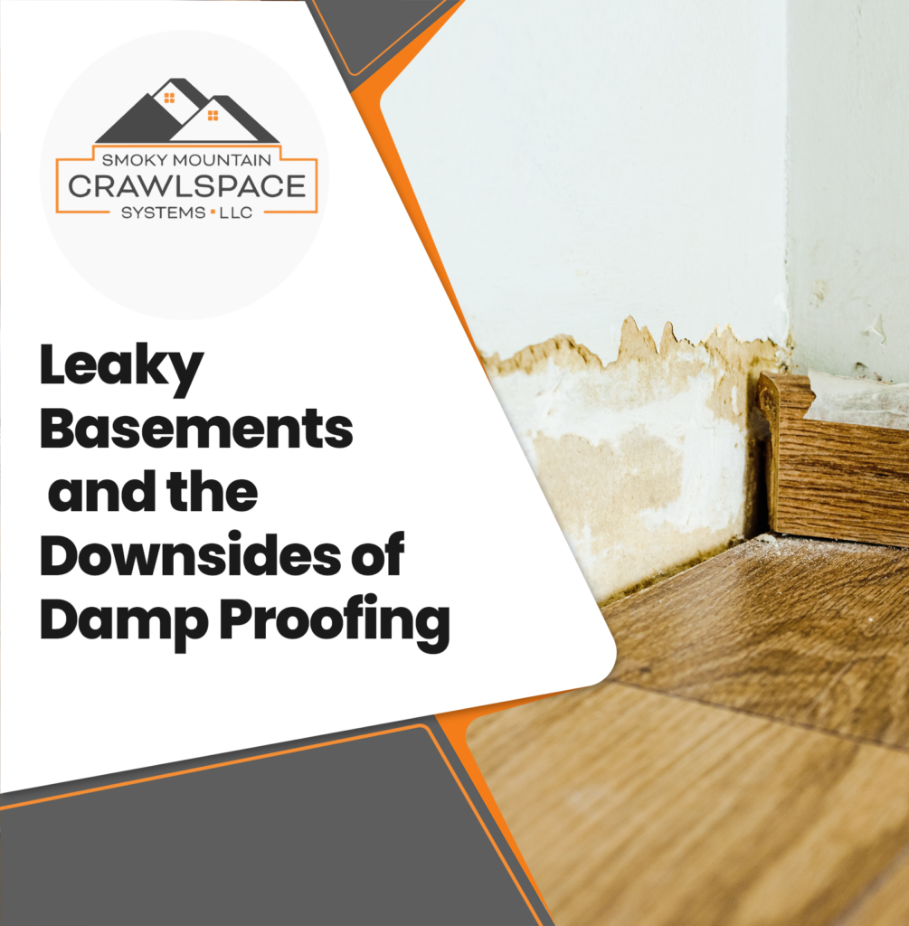 Smoky-Mountain-Crawlspace-Systems-leaky-basements-and-the-downsides-of-damp-proofing