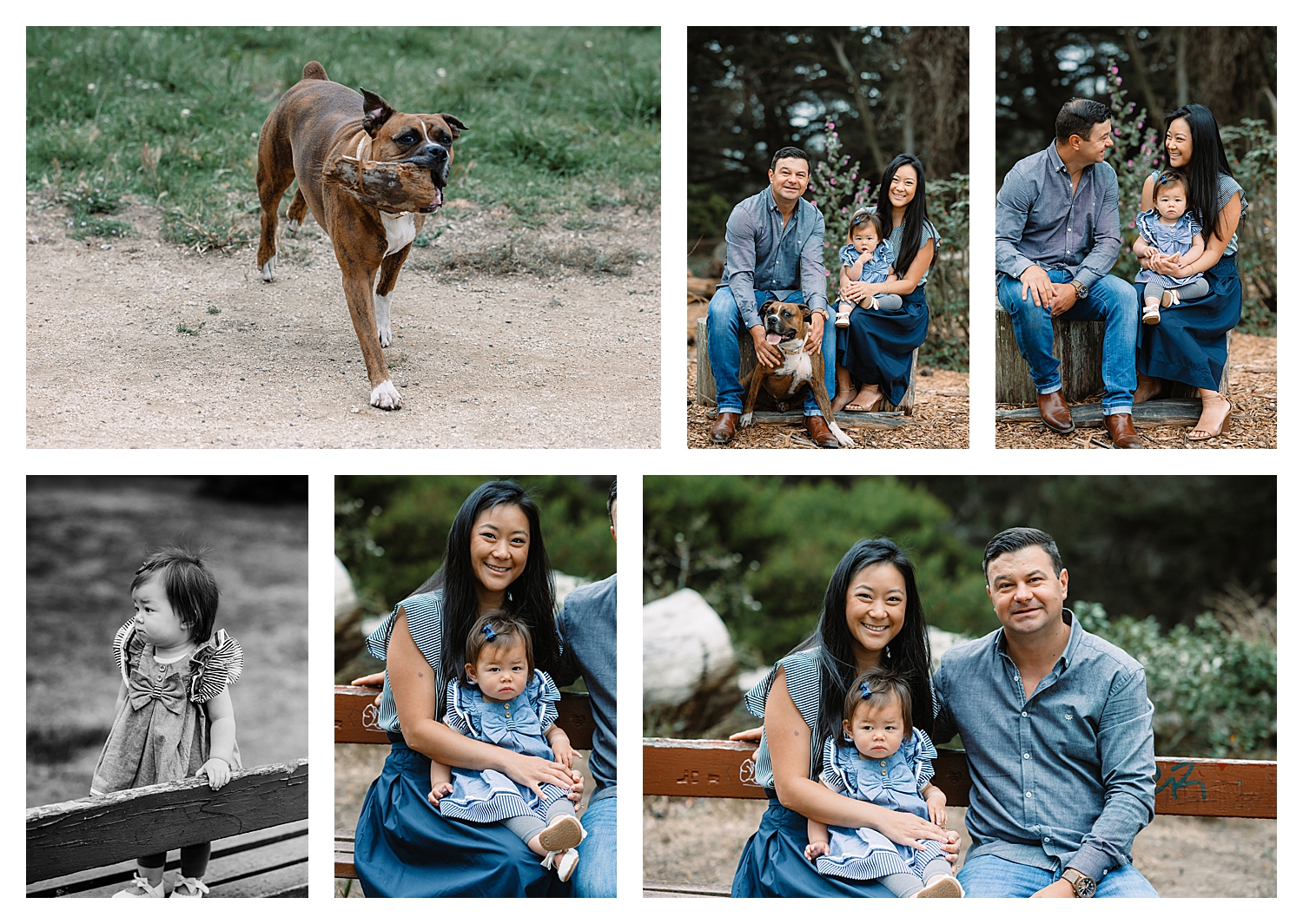 Outdoor family photography session