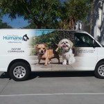 side of a van wrap with dogs