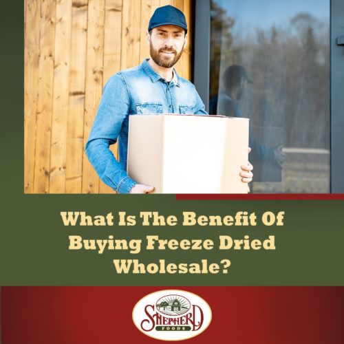 Why Is It Beneficial to Buy Freeze Dried Food in Wholesale Bulk? Shepherd  Foods