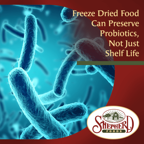 Freeze-Dried-Food-Can-Preserve-Probiotics-Not-Just-Shelf-Life