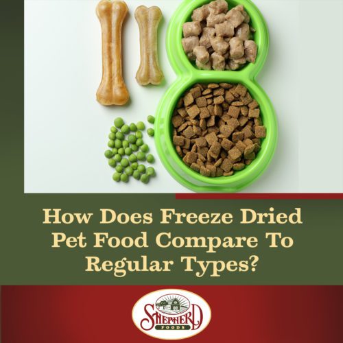 Shepherd-Foods-How-Does-Freeze-Dried-Pet-Food-Compare-To-Regulat-Rypes