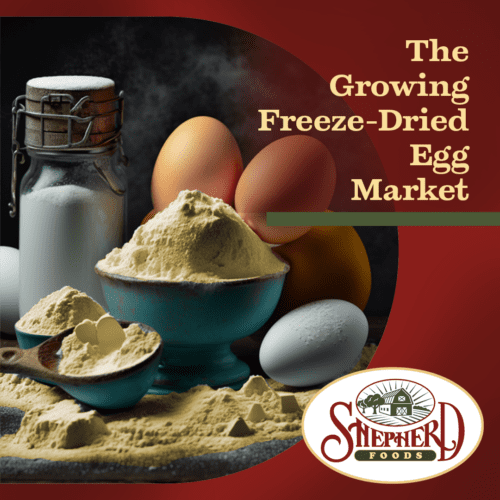 The-Growing-Freeze-Dried-Egg-Market