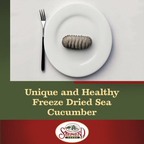 Unique-And-Healthy-Freeze-Dried-Sea-Cucumber-Shepherd-Foods