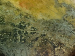 mold in cold room