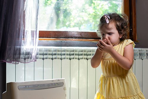 Indoor Air Pollutant Examples