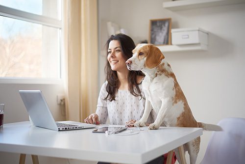 hvac maintenance tips for pet owners