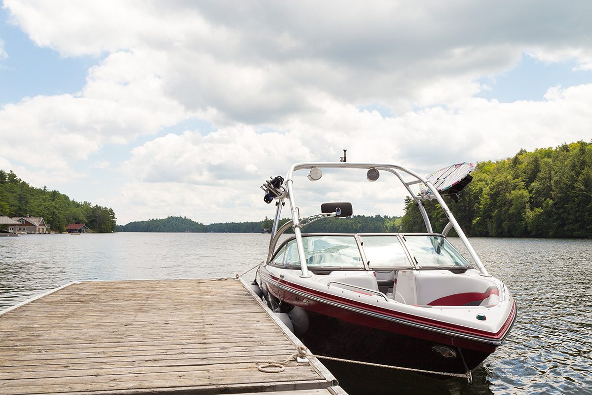 Spider Control Boat Dock