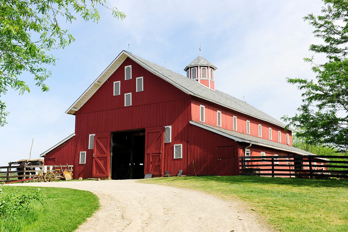 barn pest control